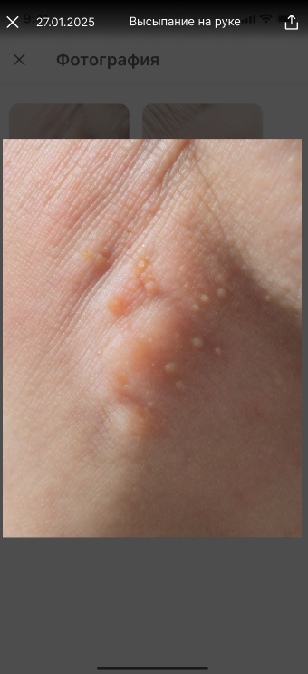 Полноразмерное фото в чате