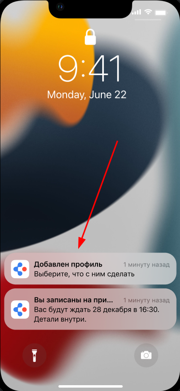 Пуш на смартфон о передаче семейного профиля нов