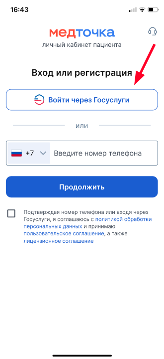 Выбор способа "Вход через Госуслуги"