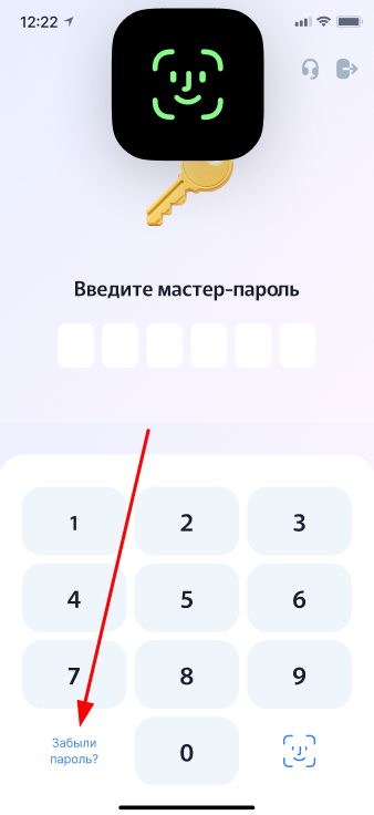 Забыли пароль при входе